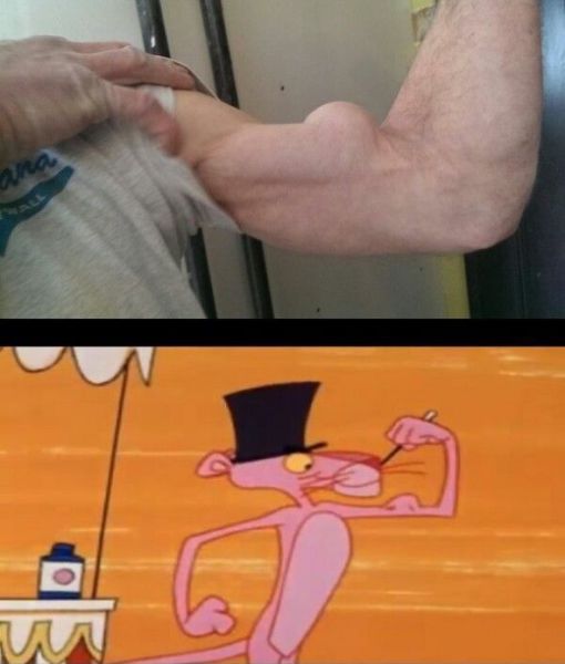 daily_picdump_1471_640_03