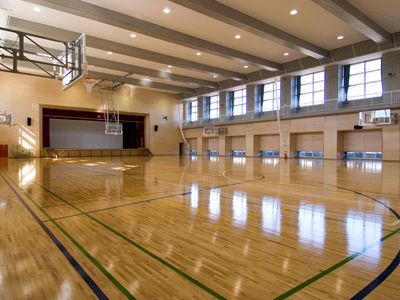 arena1