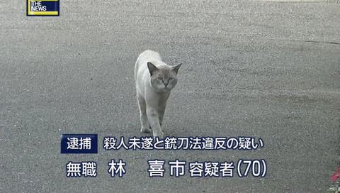 e48a5a20-s