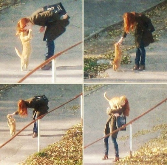 daily_picdump_1471_640_84