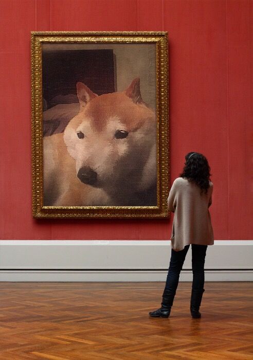 速報 新たなガイジ犬 見つかるｗｗｗｗ ラジック