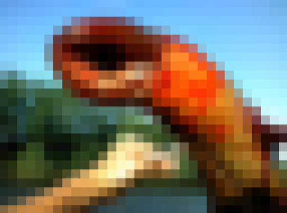 1_1