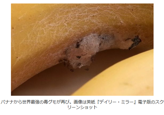 キャプチャ