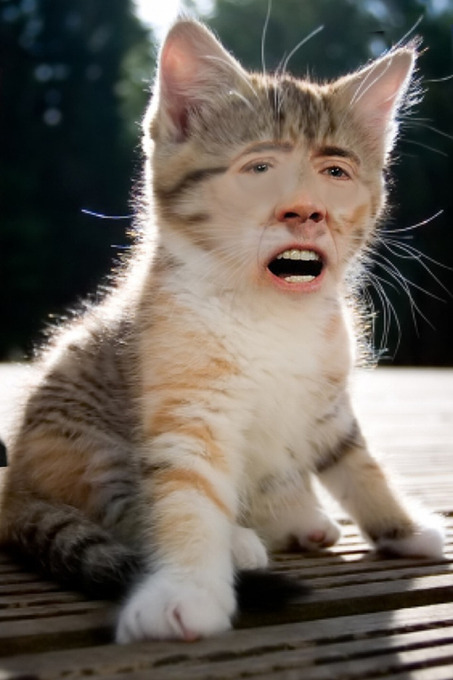 rwr