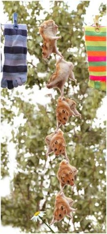 7_1
