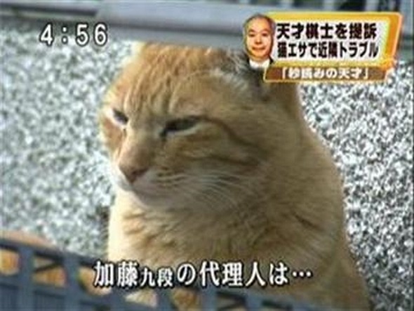 720x540x76105308d2cbc1398e2f39d9