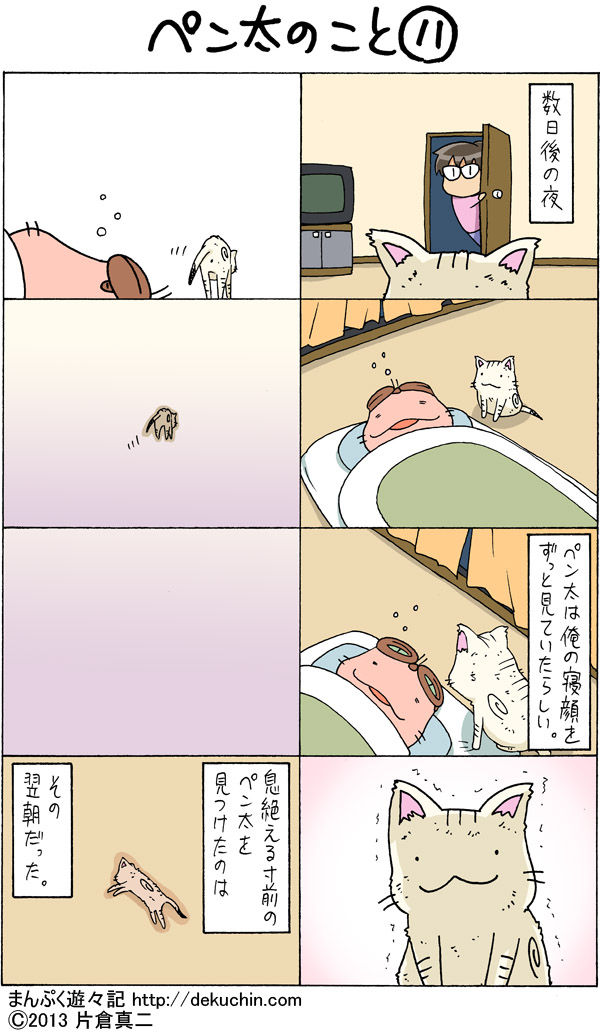画像 オッサンみたいなネコが話題に ラジック