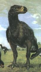 images8