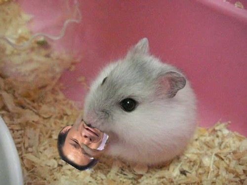 azuYoYHxAww