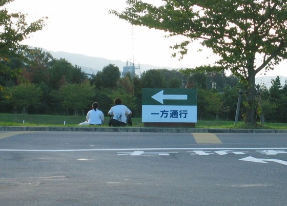81_1