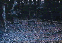 20111115191537_38_1