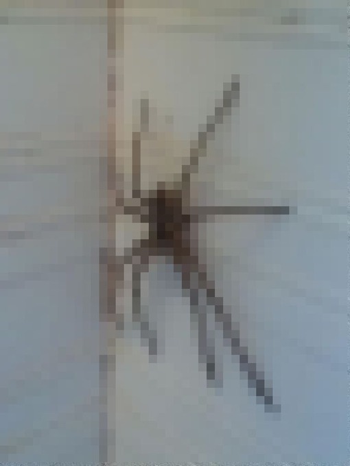 1_1