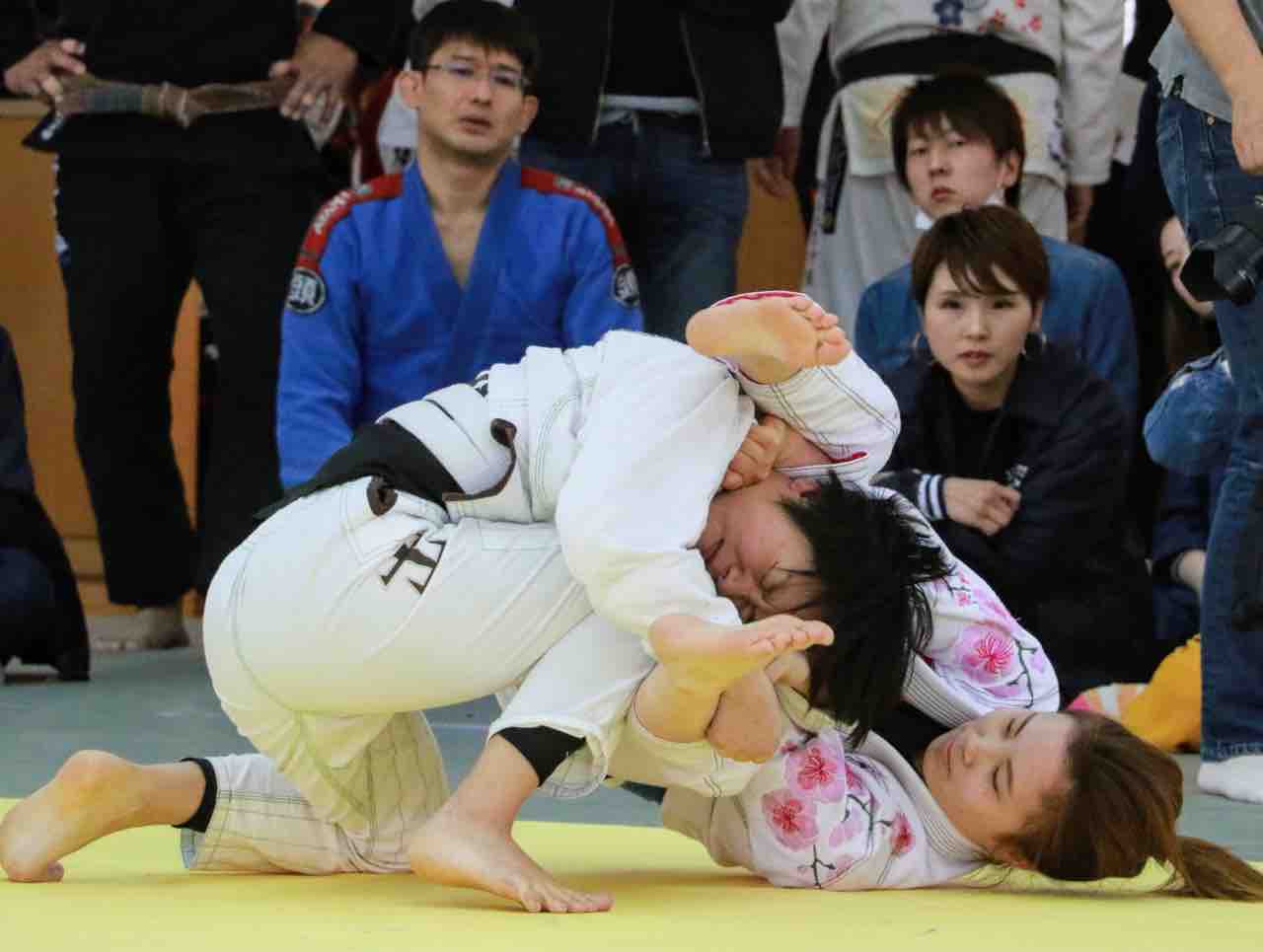 凄まじきかな竹本蘭音キャノン砲 Ipponジャンボリー6 女子白青紫帯の部 ブラジリアン柔術アカデミーrjj 埼玉県 上尾 桶川 格闘技ジム 凄まじきかな竹本蘭音キャノン砲 Ipponジャンボリー6 女子白青紫帯の部 ブラジリアン柔術アカデミーrjj 埼玉県 上尾 桶川 格闘技ジム