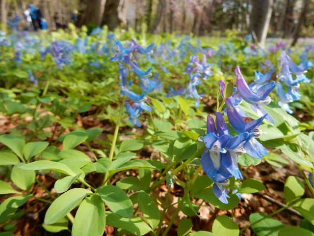 DSCN9672