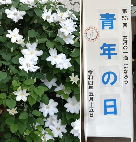 キャプチャ