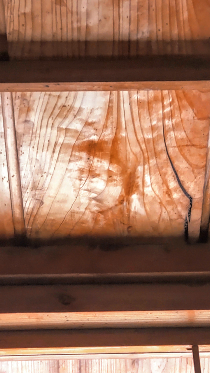 20230830_天井の模様