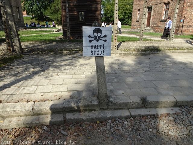 ¥¢¥¦¥·¥å¥ô¥£¥Ã¥Ä Auschwitz