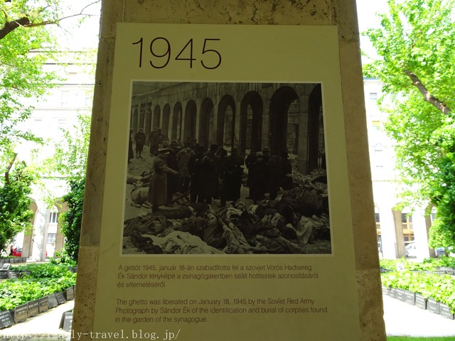 ¥Ö¥À¥Ú¥¹¥È¤Î¥·¥Ê¥´¡¼¥°¡¡Zsinagoga(synagogue)