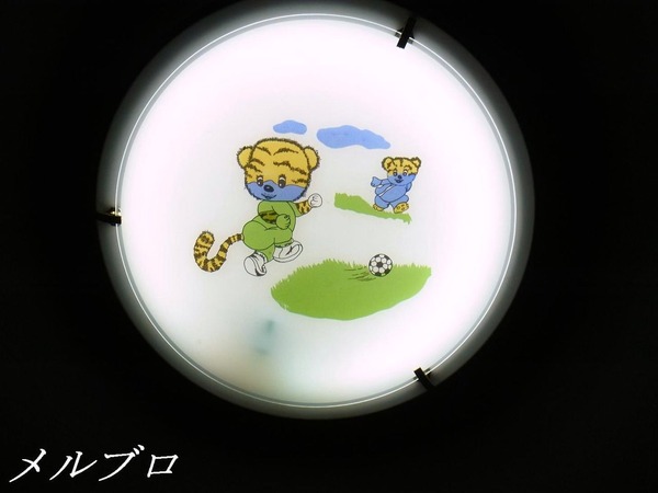 ¥µ¥ó¥È¥¥¥¢¥ê¥ª
