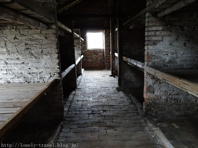 ӥ륱ʥBirkenau