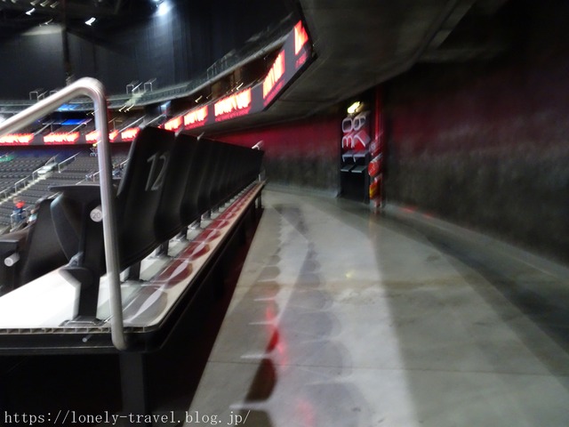 ジャルギリス・アリーナ(Žalgirio Arena)