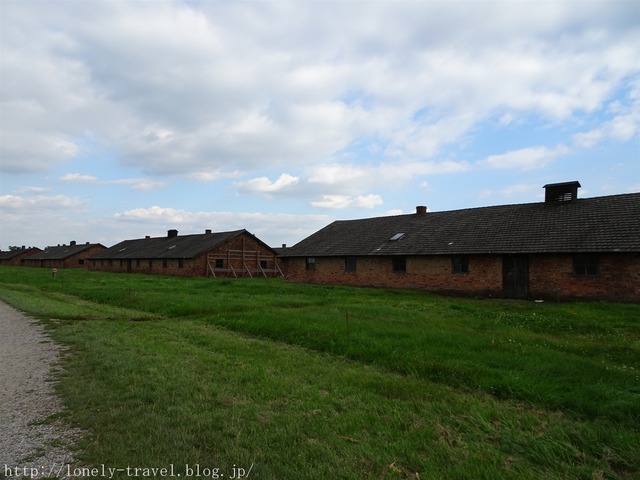 ӥ륱ʥBirkenau