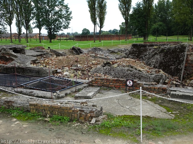 ¥Ó¥ë¥±¥Ê¥¦¡¡Birkenau