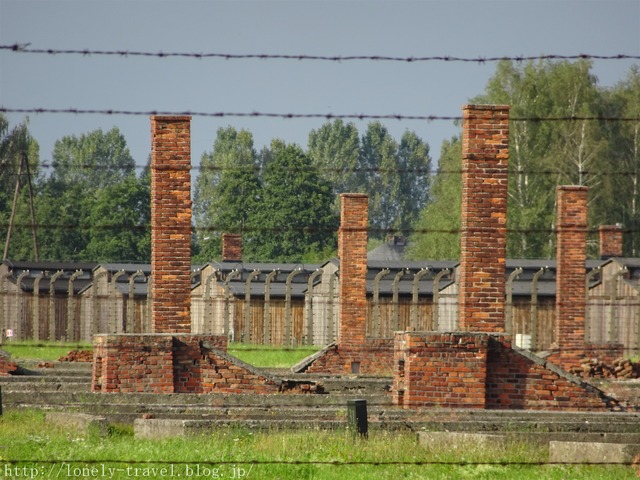 ¥Ó¥ë¥±¥Ê¥¦¡¡Birkenau