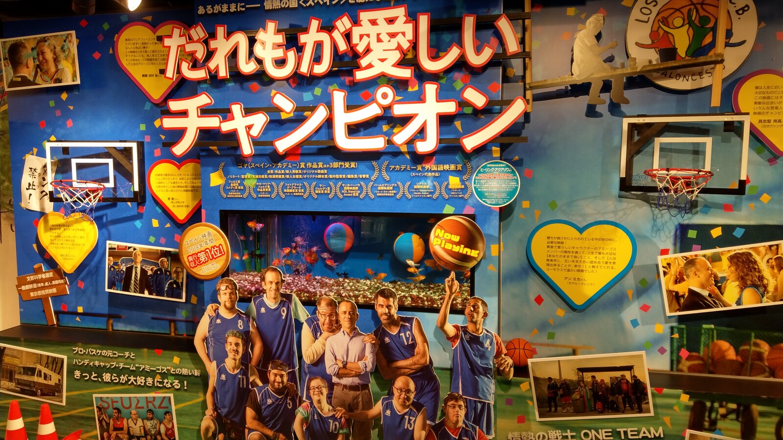 だれもが愛しいチャンピオン の感想 ロンリートラベル 海外個人旅行記