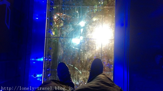 Åìµþ¥¿¥ï¡¼¡¡TOKYO TOWER