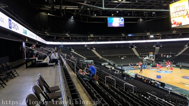 ジャルギリス・アリーナ(Žalgirio Arena)