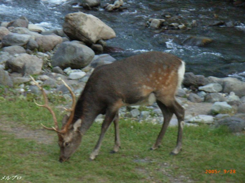 df02425a.jpg