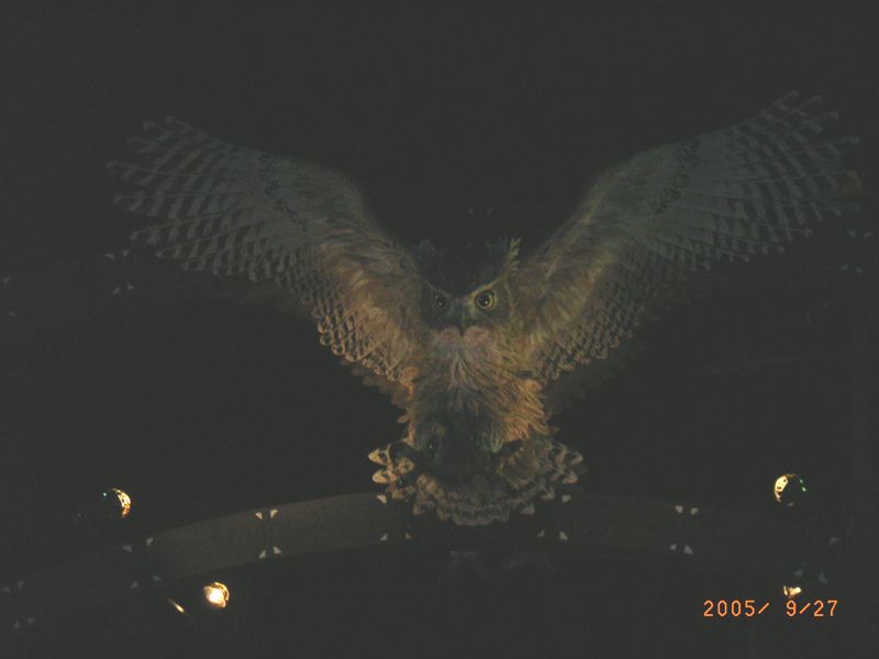 eb855fda.jpg