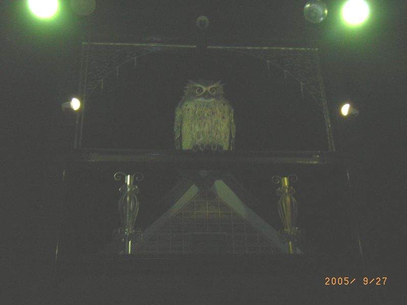 eb855fda.jpg