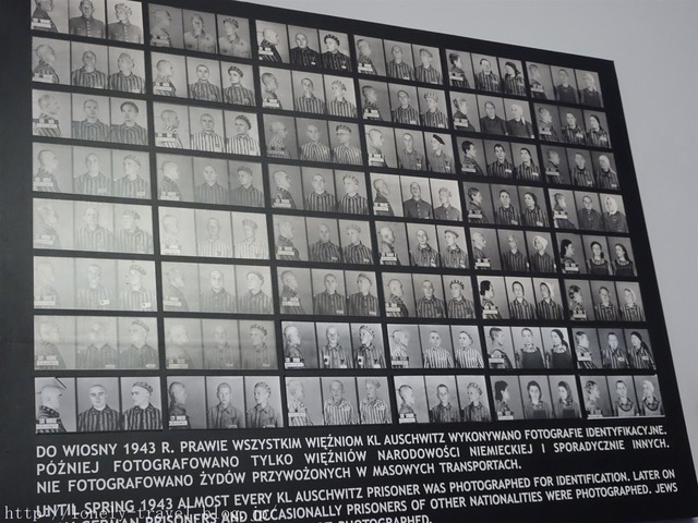¥¢¥¦¥·¥å¥ô¥£¥Ã¥Ä Auschwitz