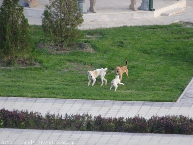 ¥°¥é¥ó¥É ¥Ö¥Ï¥é ¥Û¥Æ¥ë(Grand Bukhara Hotel)