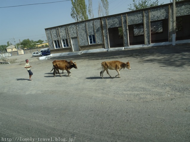 ウズベキスタンの道路