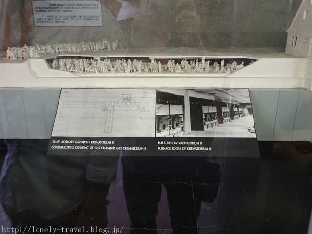 ¥¢¥¦¥·¥å¥ô¥£¥Ã¥Ä Auschwitz