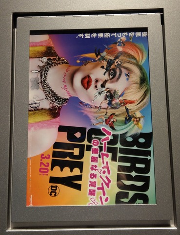 ¥Ï¡¼¥ì¥¤¡¦¥¯¥¤¥ó¤Î²ÚÎï¤Ê¤ë³ÐÀá¡Birds of Prey
