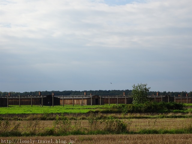 ¥Ó¥ë¥±¥Ê¥¦¡¡Birkenau