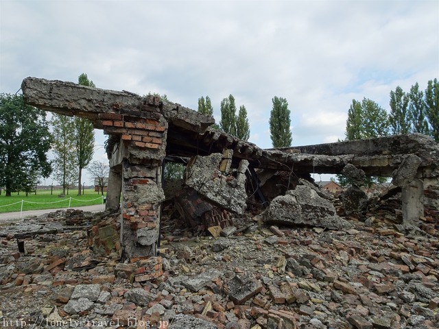 ¥Ó¥ë¥±¥Ê¥¦¡¡Birkenau