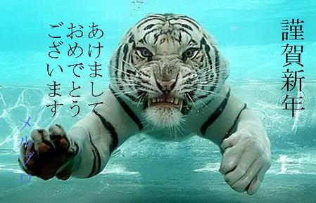 寅年