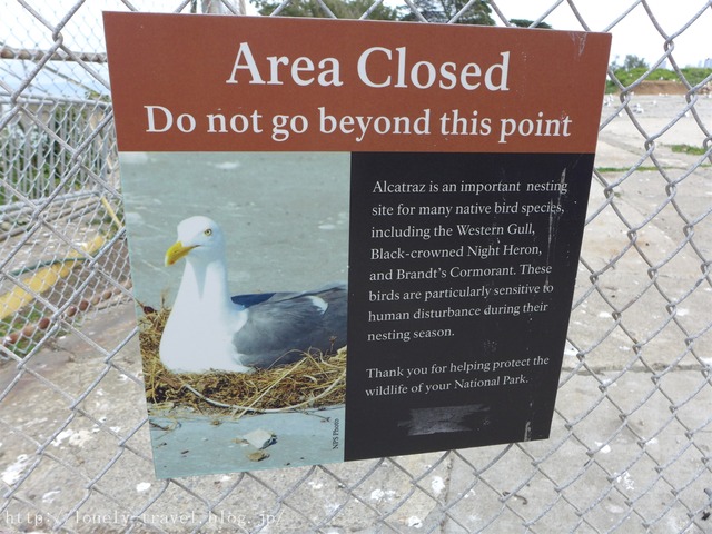 ¥¢¥ë¥«¥È¥é¥ºÅç¡¡Alcatraz Island