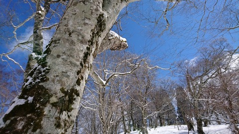 DSC_0598春の陽射し