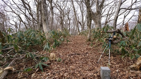 DSC_0736笠杖図根