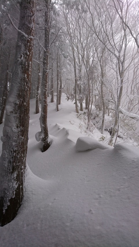 DSC_0127雪だまり