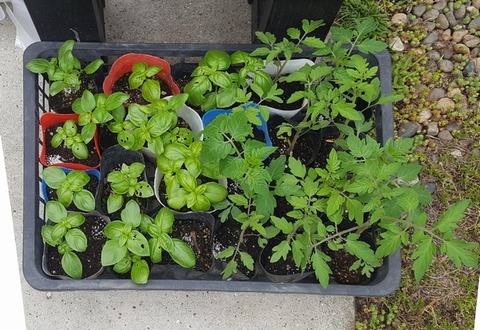 20220616_172650_0000