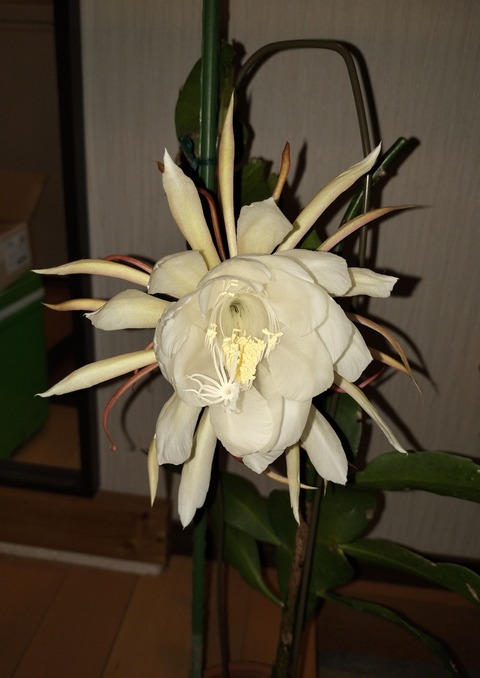 IMG20260821222925
