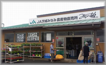 イメージ 2