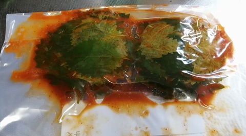 BIMG_20221012_170621